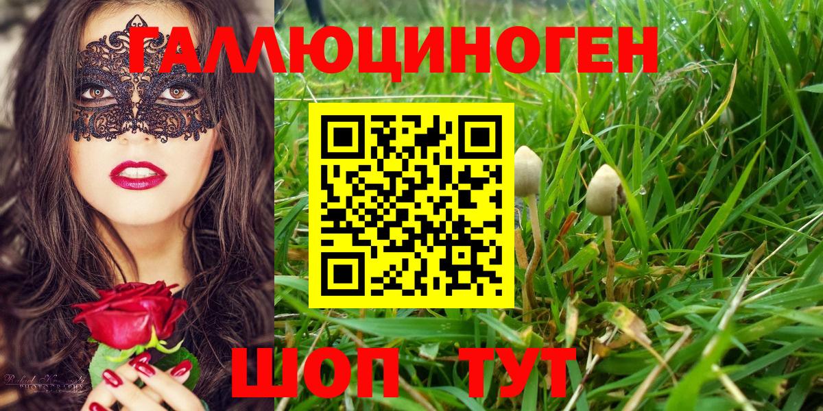 Галлюциногенные грибы мухоморы  что такое наркотик  Асбест  Вход с VPN  Псилоцибиновые грибы прущие грибы 