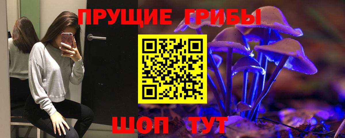 Галлюциногенные грибы Psilocybine cubensis Асбест